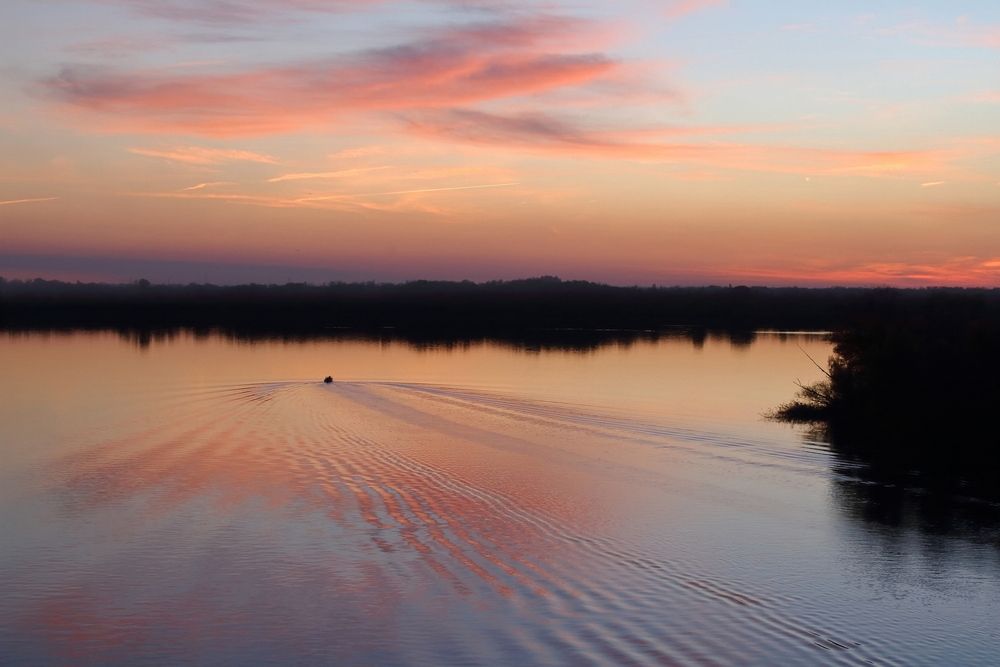 Фотография автора Александр Челмодеев