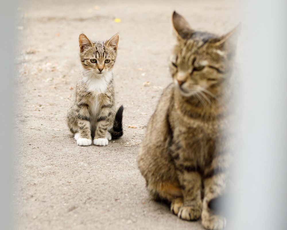 Photograph by Тоцкий Михаил