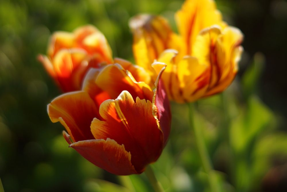 Photograph by Ольга Слугина