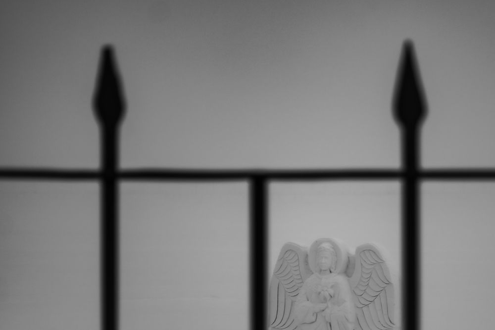 Photograph by Анна Бушина