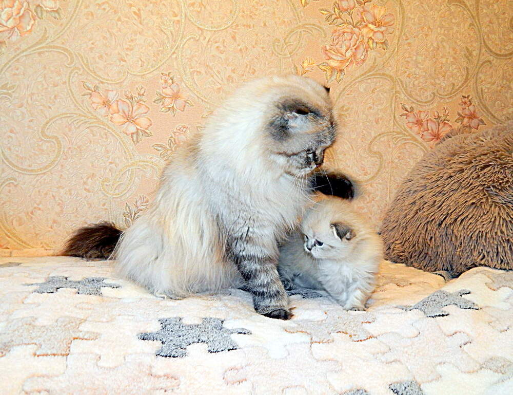 Photograph by Ольга Митрофанова