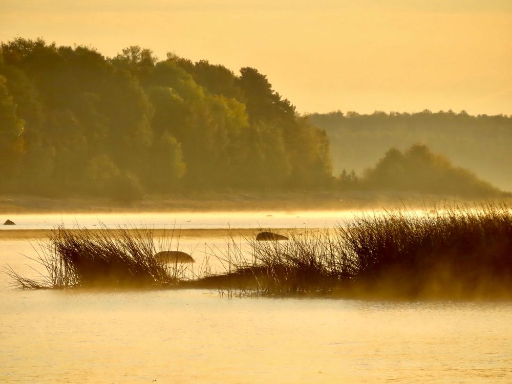 Photograph by Елена Жукова