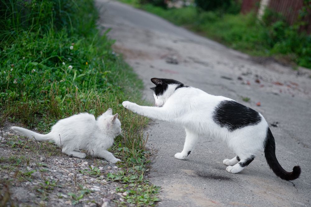 Photograph by Татьяна Жиркина