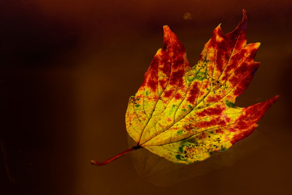 Photograph by Римма Волченко