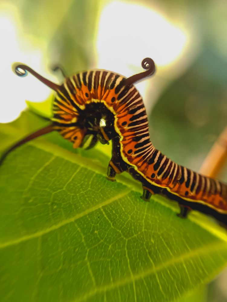 Photograph by SHRIYAKSHI