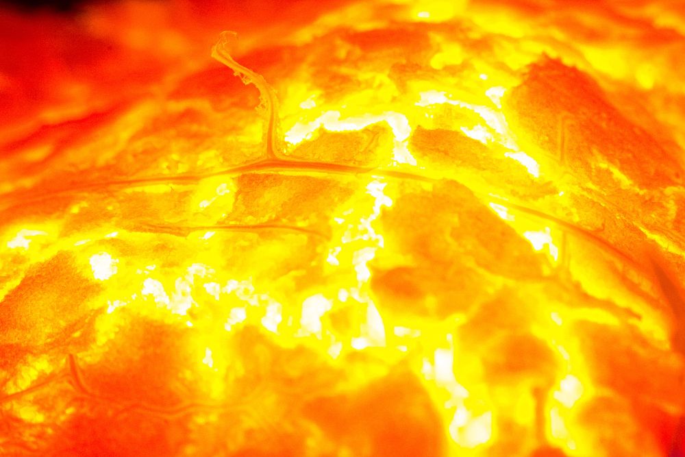 Photograph by Алексей Кацан