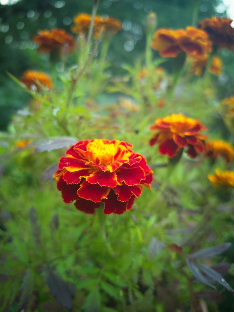 Photograph by Юрий Кольцов