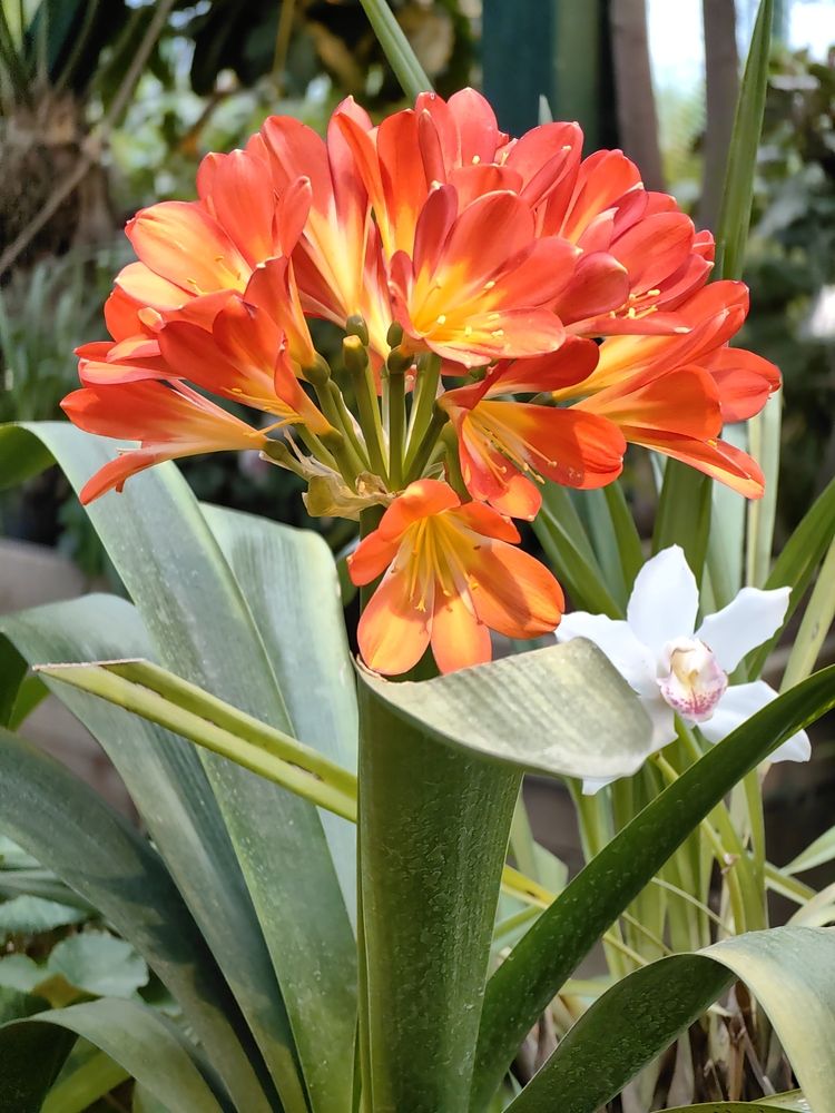 Photograph by Юрий Кольцов