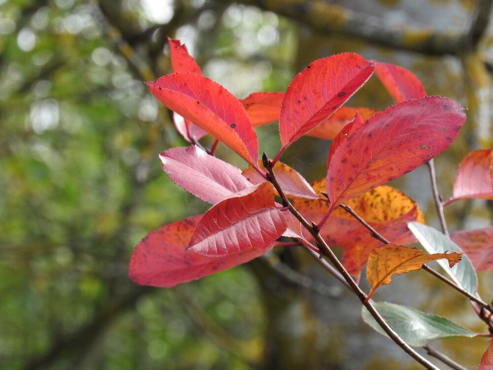 Фотография автора Евгений Щипин