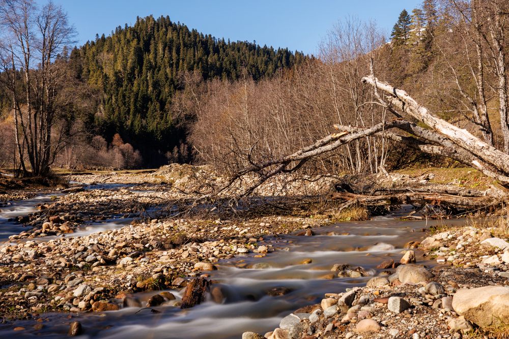 Фотография автора Igor Maksimenko