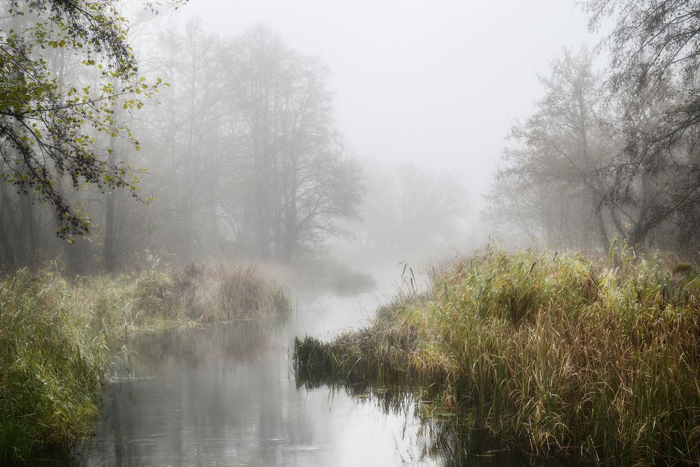 Фотография автора Валерий Лушин