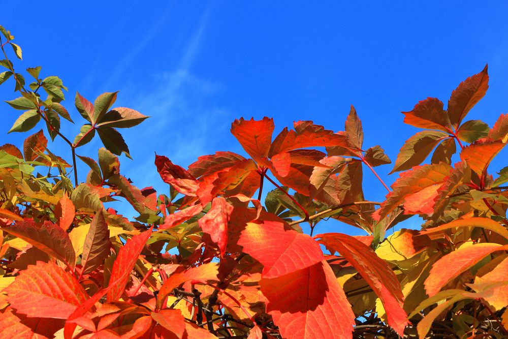 Photograph by Светлана Долотова