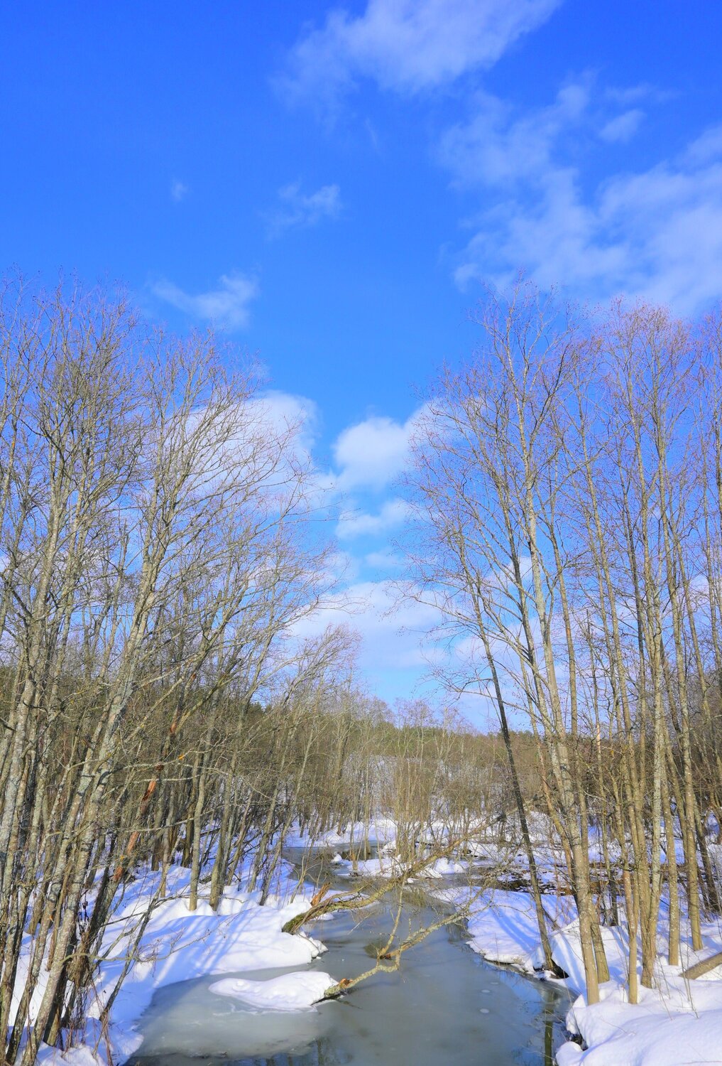 Photo #13434118