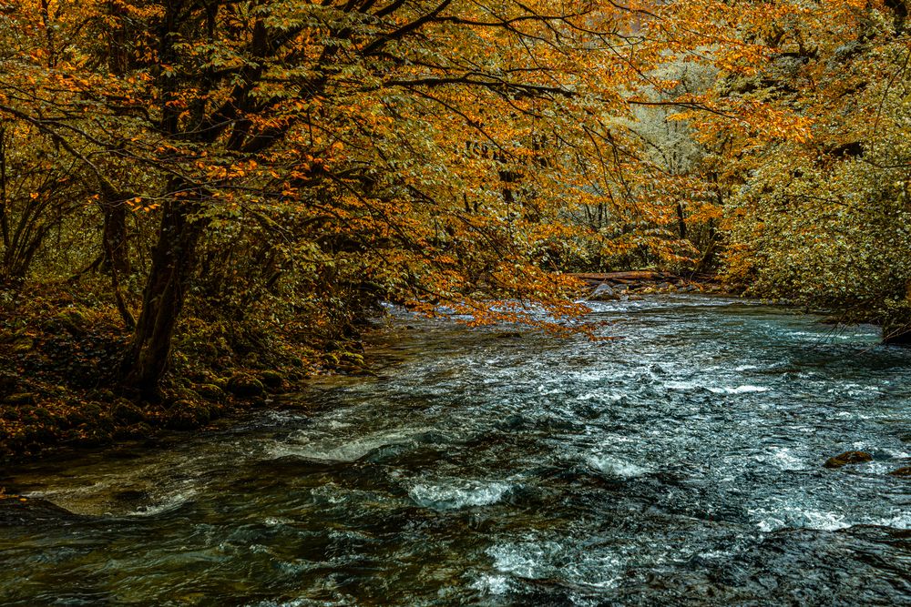 Photograph by Nesterov Konstantin