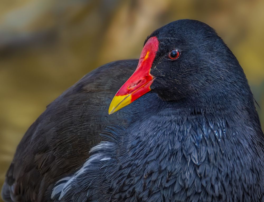 Photograph by Марина Ческис