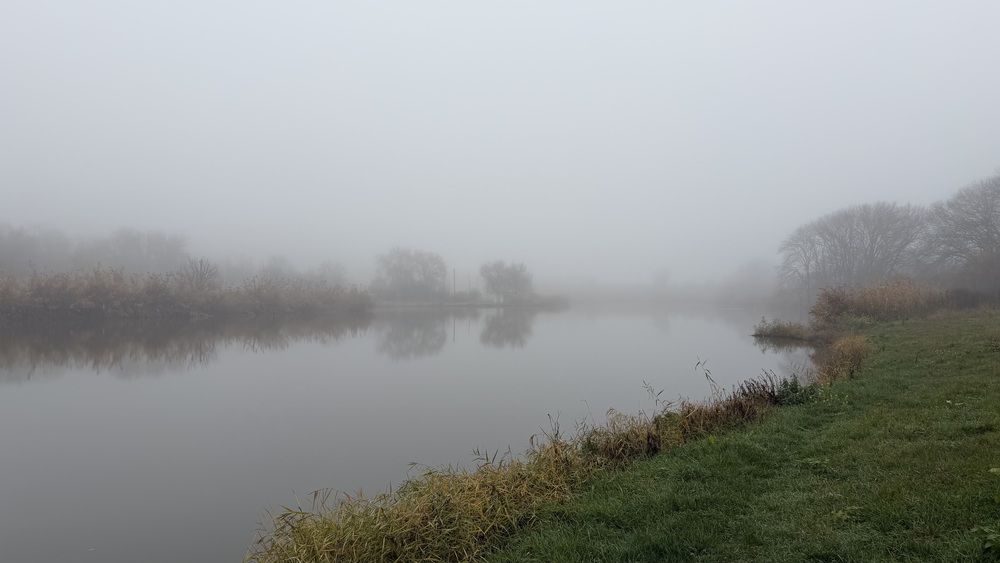 Photograph by Ирина Молибог