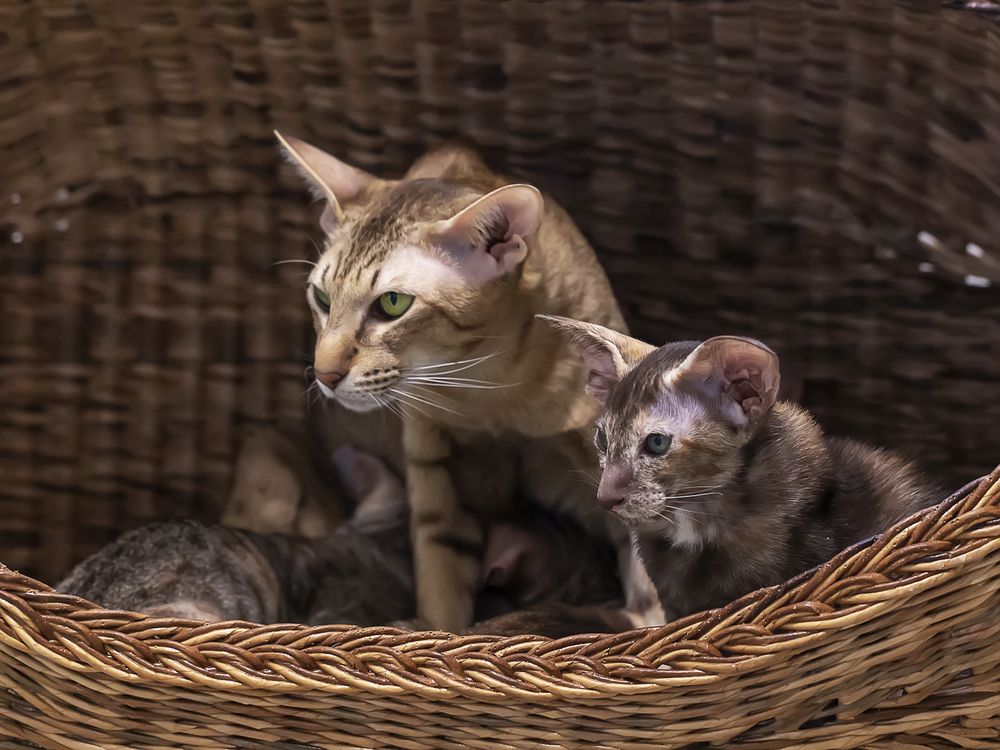 Photograph by Татьяна Феденкова