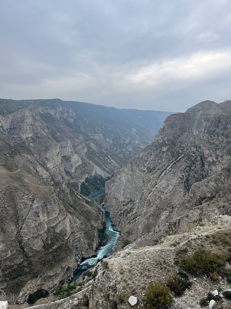 Фотография автора Мария Сергеева