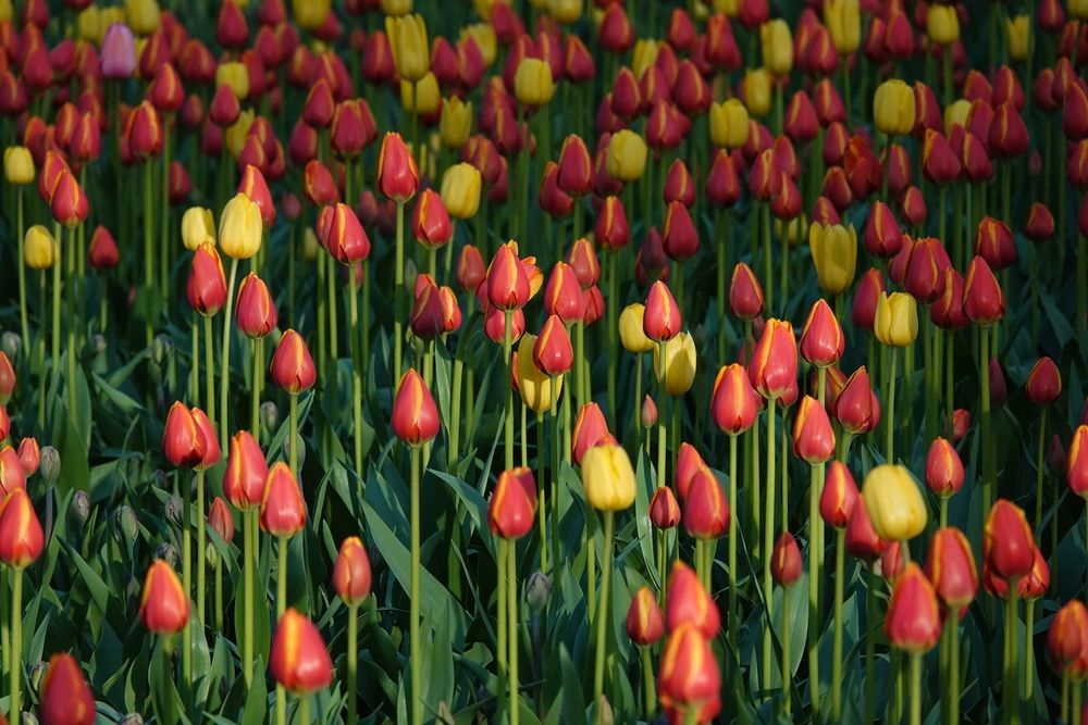 Фотография автора Zakharov Matvey