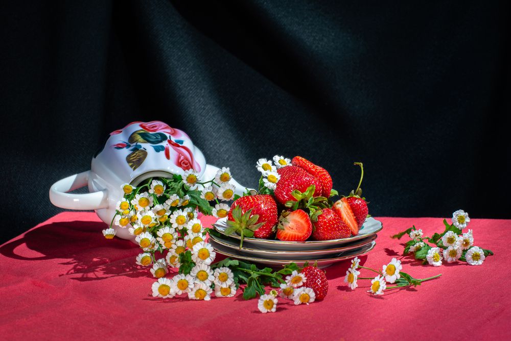 Photograph by Дана Трубиньш