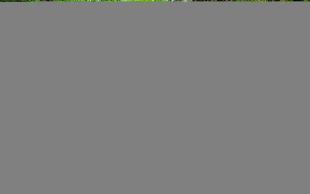 Photo #13434287