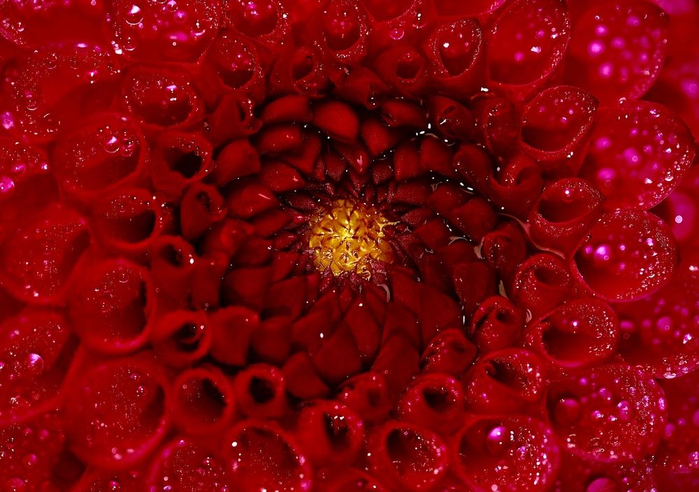 Фотография автора Малика Маткарим