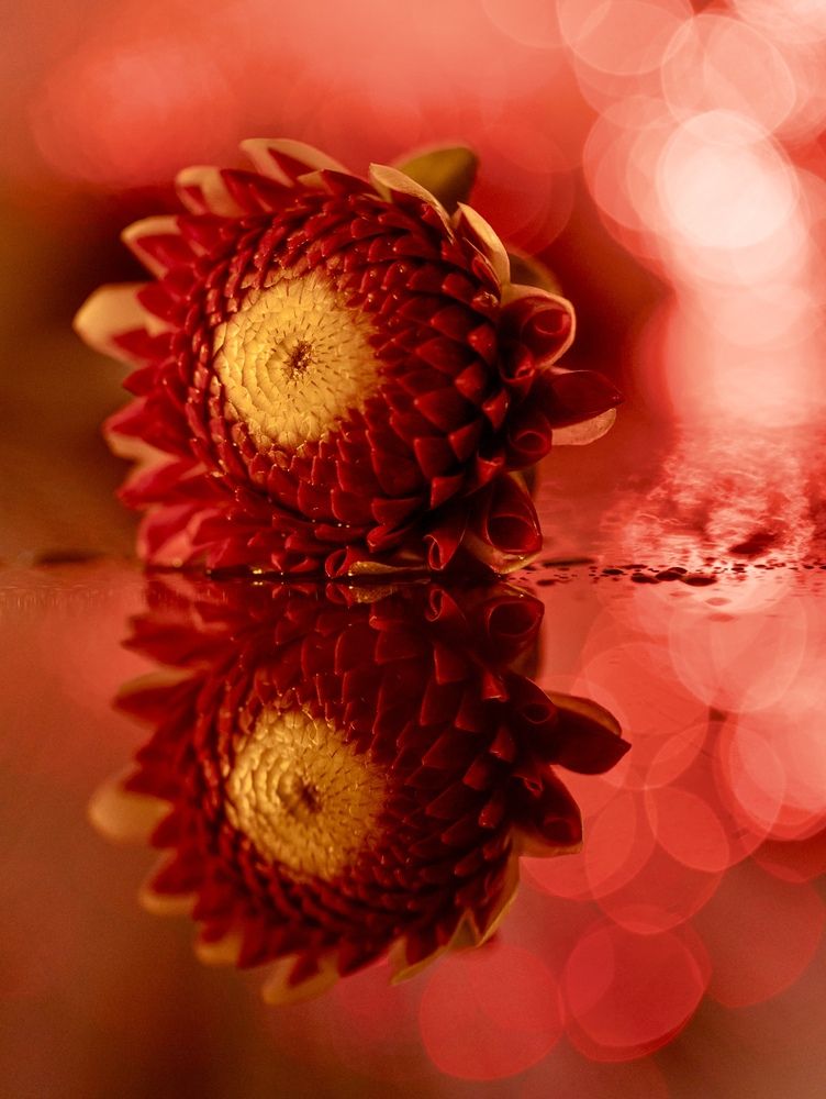 Фотография автора Малика Маткарим