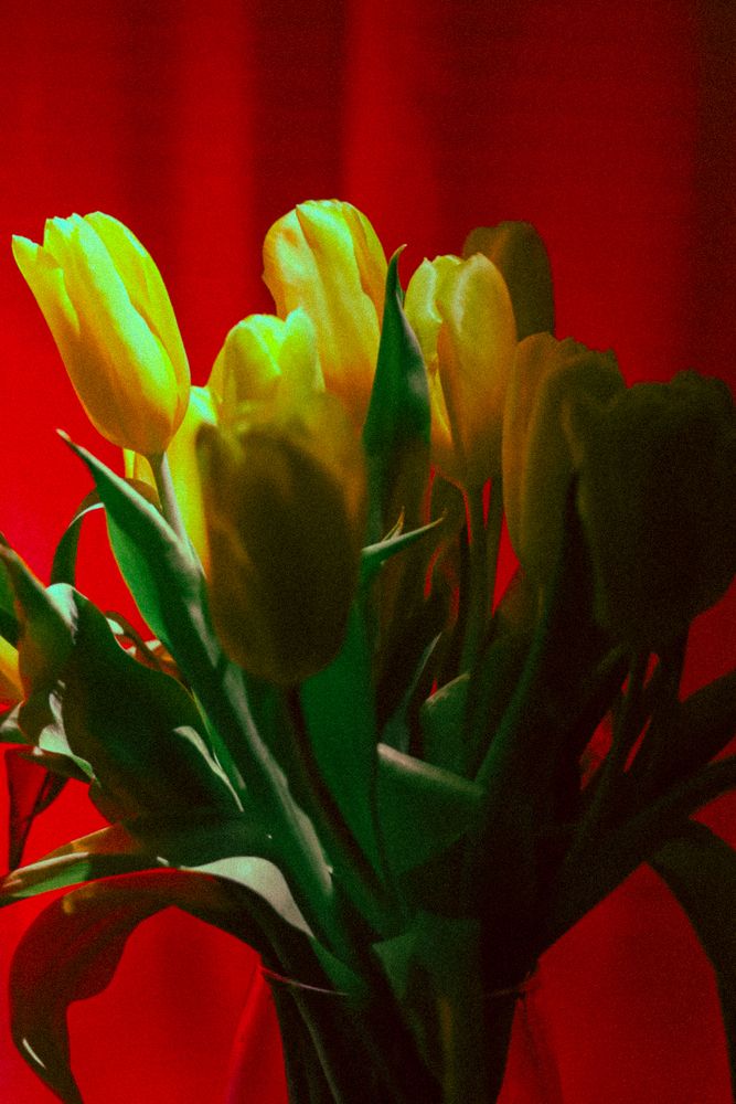 Photograph by Максим Белов