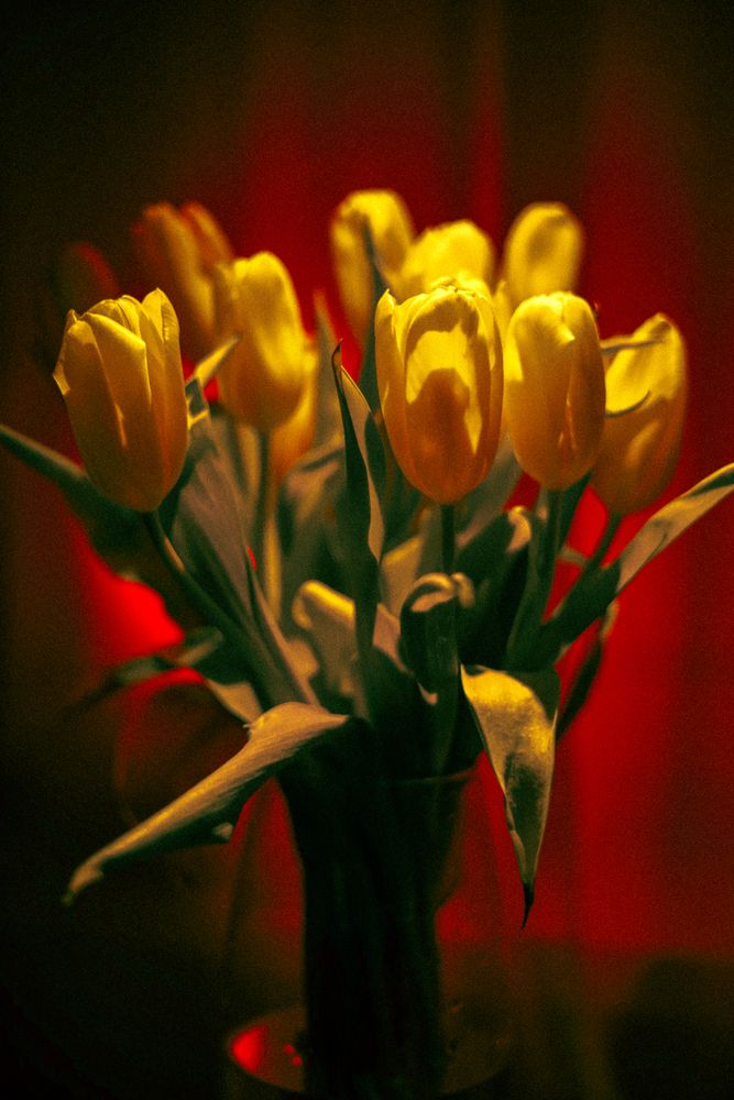 Photograph by Максим Белов