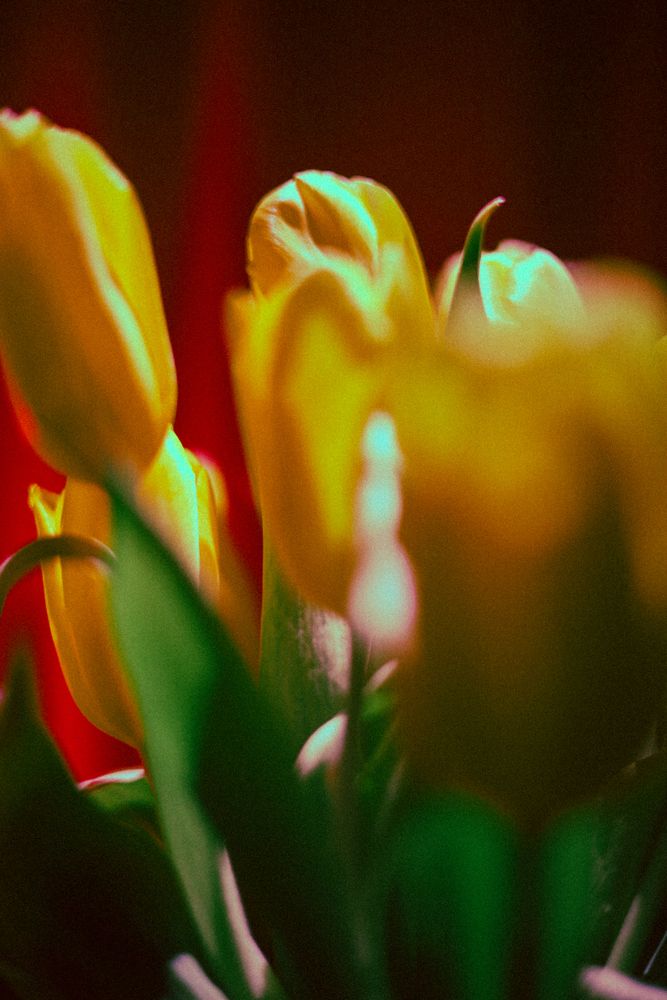 Photograph by Максим Белов