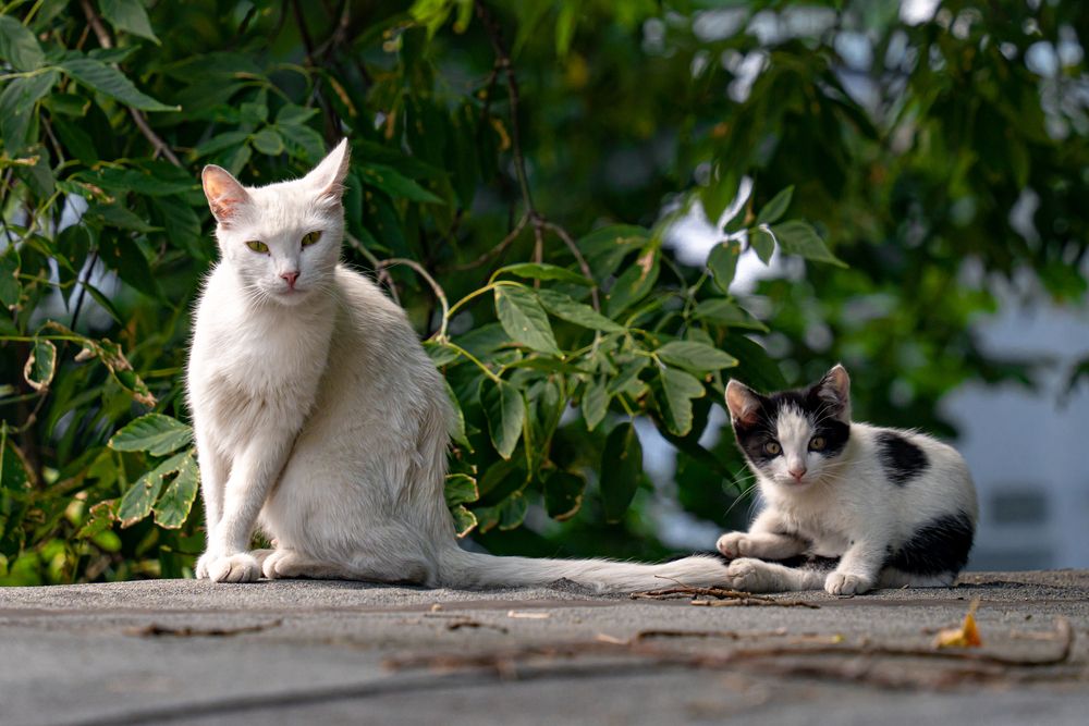 Photograph by Арсений Крят