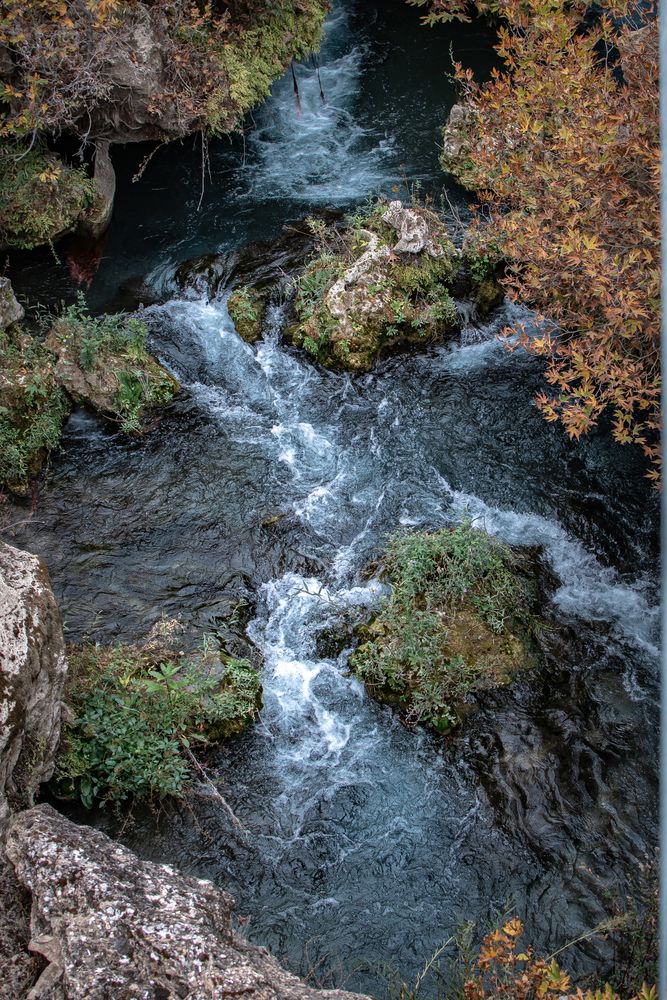 Фотография автора Maria Chistova (Pasternak)