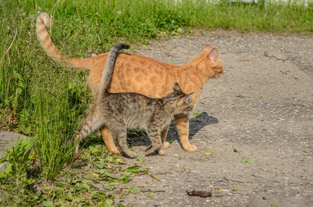 Photograph by Татьяна Жиркина