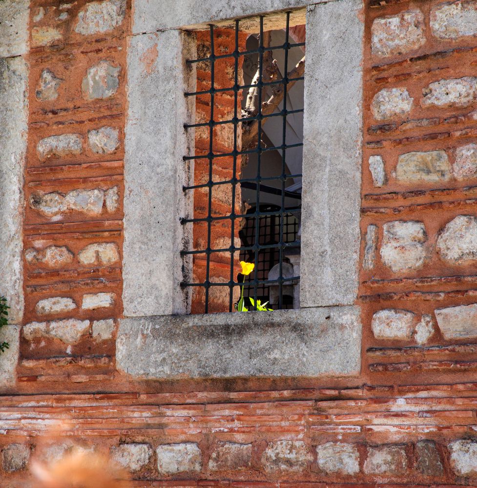 Photograph by Елена Третьякова