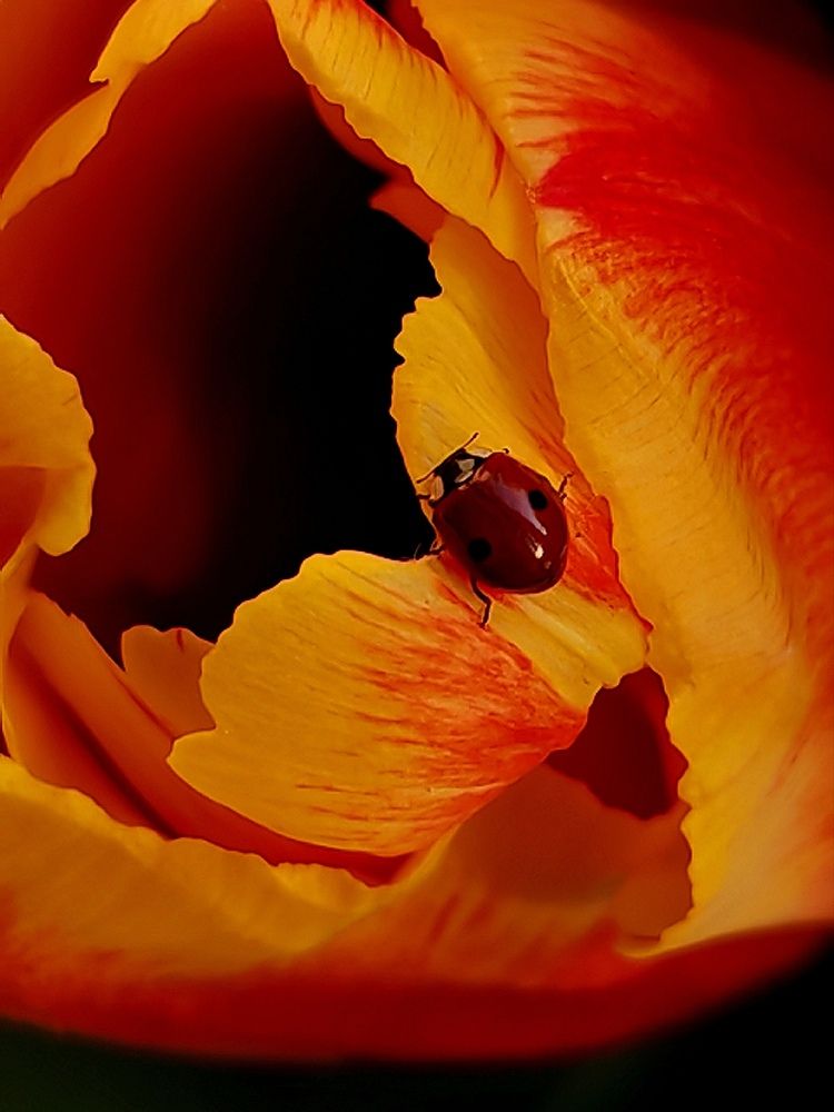 Photograph by Maria Stankevich