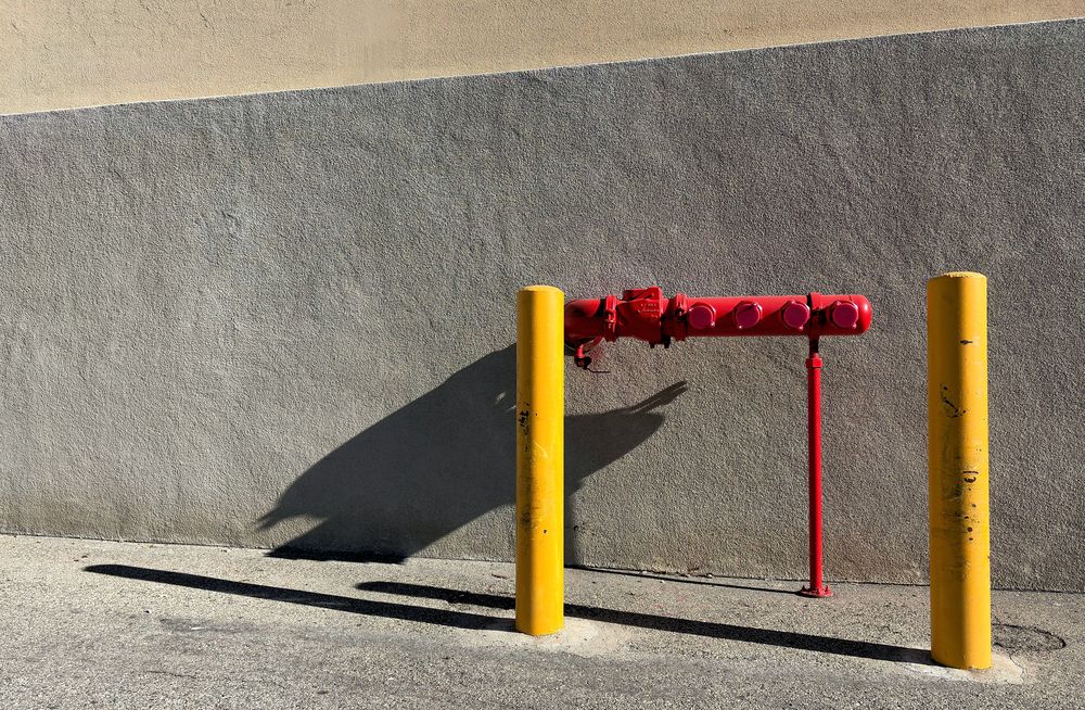 Фотография автора Esther Spektor