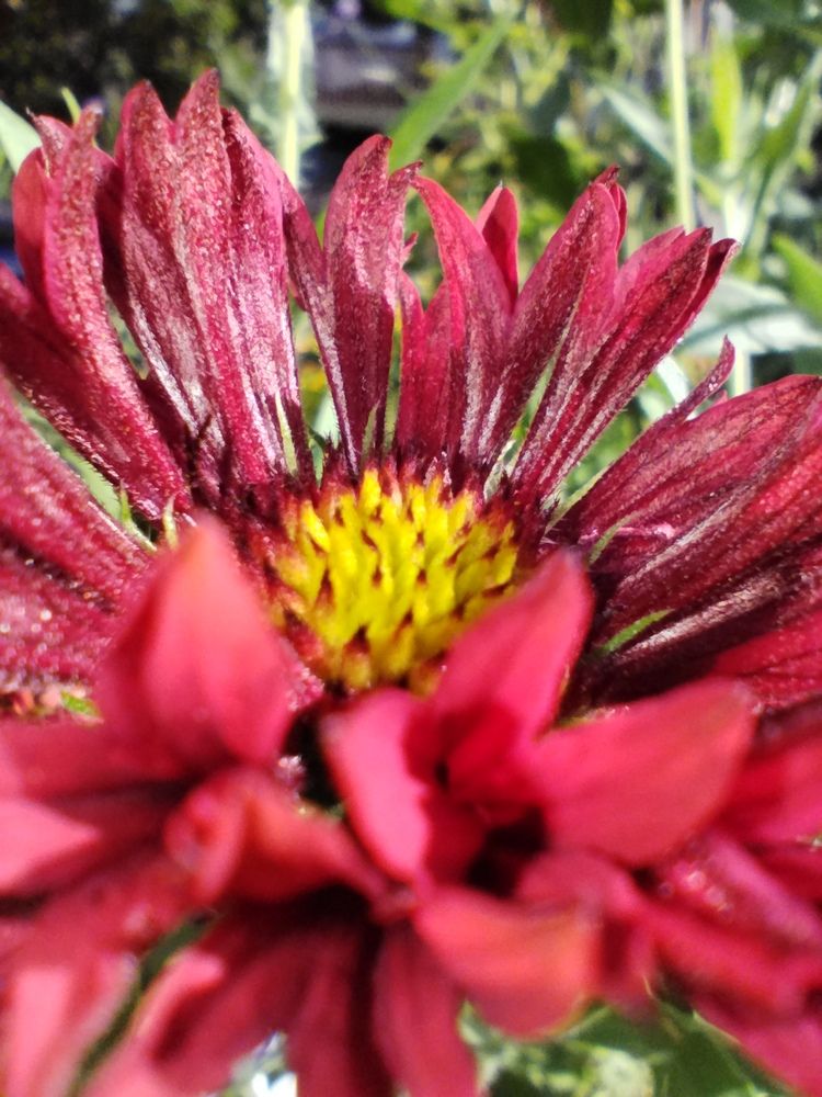 Фотография автора Clarise Joy Evangelista