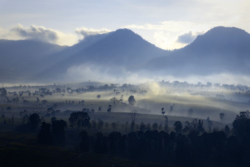 Photograph by Riki Gunawan