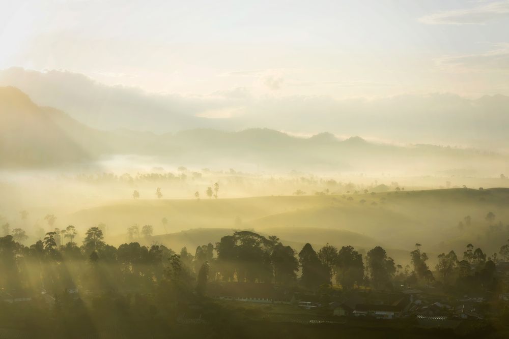 Photograph by Riki Gunawan