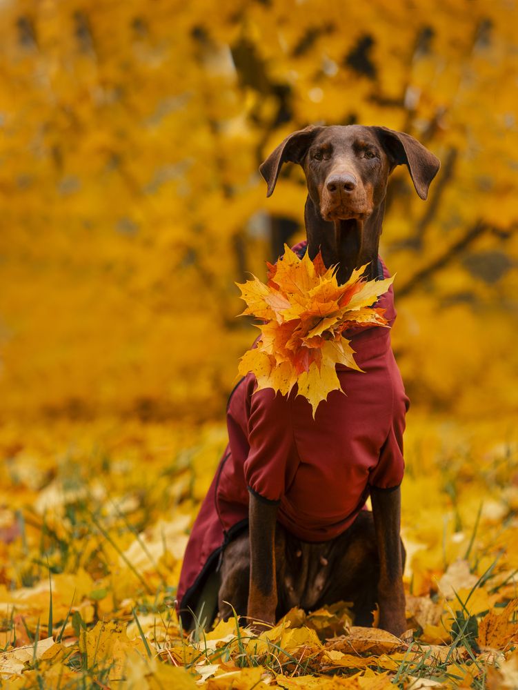 Photograph by Мария Клещенко