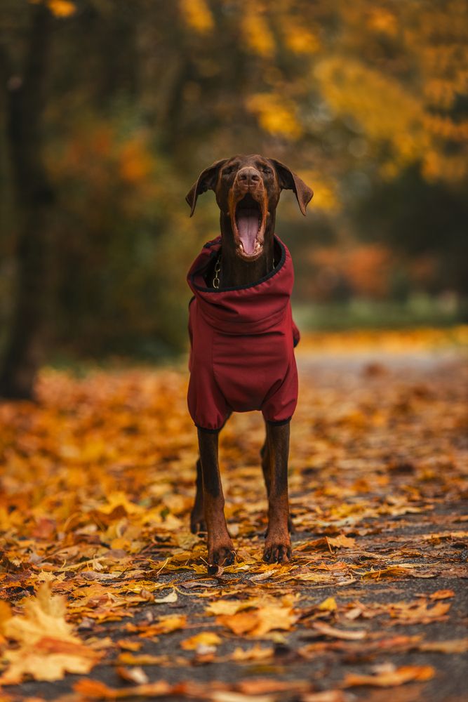 Photograph by Мария Клещенко