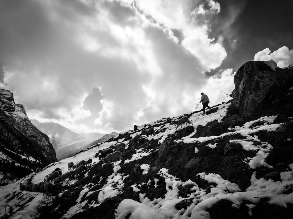 Фотография автора Pritam Majumder