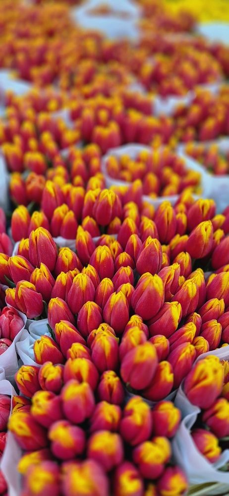 Photograph by Ольга Мусина