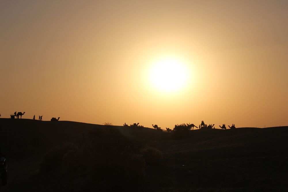 Thar desert