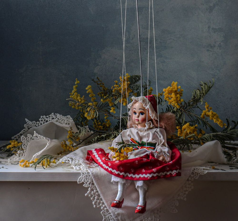 Фотография автора Вера Артеменко