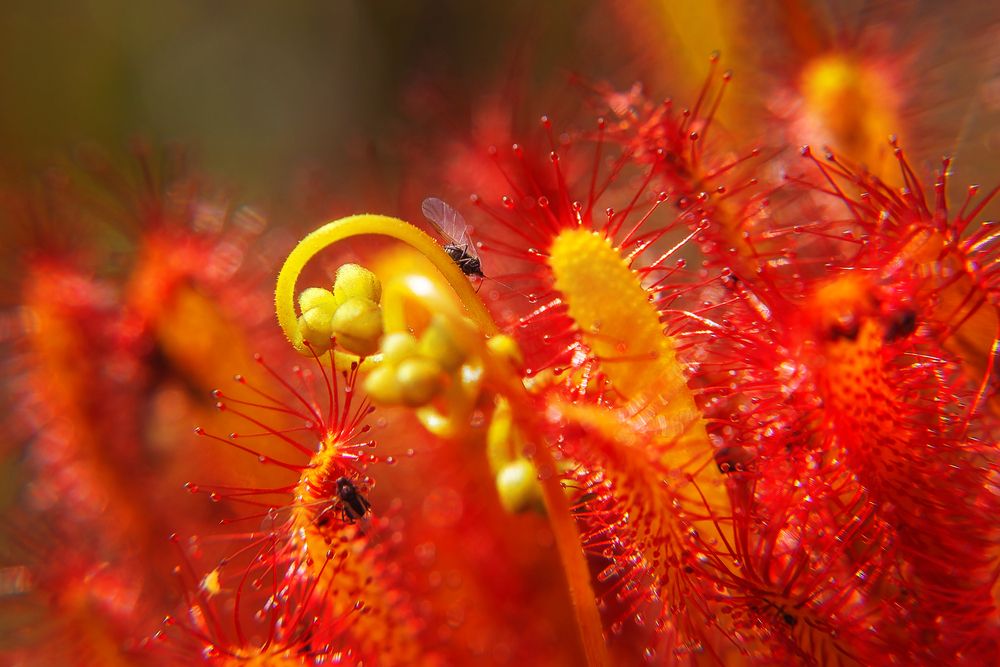 Фотография автора Татьяна Кормашова