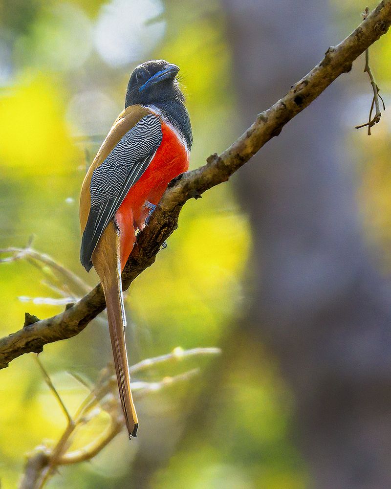 Photograph by Ashit Gandhi