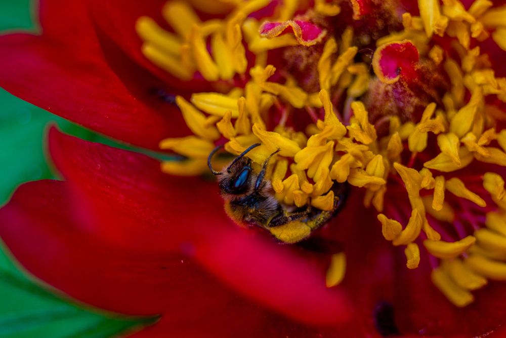 Photograph by Олег Алексеев