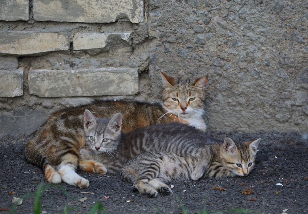 Photograph by Станислав Вершинин