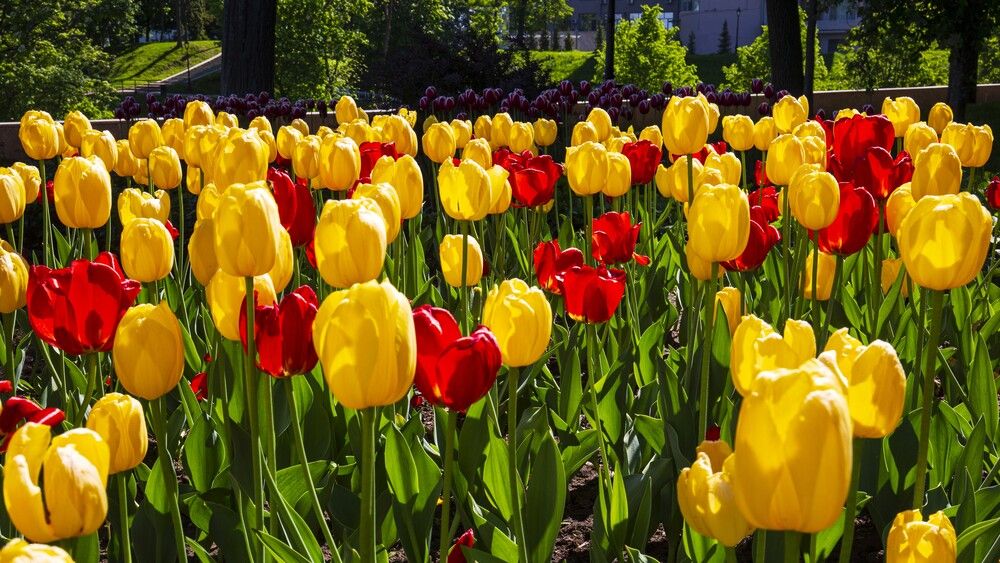 Photograph by viktor nevdakhin